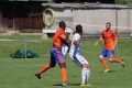 Nom du fichier : IMG_5696_-_Copie.JPG
Poids du fichier : 162KB
Dimensions : 1024x683
Ajouté le : 21 Juin 2017 IMG_5696_-_Copie.JPG
