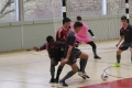 Nom du fichier : bmg_0773.JPG
Poids du fichier : 160KB
Dimensions : 1024x683
Ajouté le : 05 Dec 2016 bmg_0773.JPG