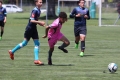 Nom du fichier : IMG_1018.JPG
Poids du fichier : 172KB
Dimensions : 1024x683
Ajouté le : 05 Juin 2017 IMG_1018.JPG