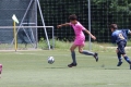 Nom du fichier : IMG_1114.JPG
Poids du fichier : 177KB
Dimensions : 1024x683
Ajouté le : 05 Juin 2017 IMG_1114.JPG