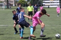 Nom du fichier : IMG_1578.JPG
Poids du fichier : 190KB
Dimensions : 1024x683
Ajouté le : 05 Juin 2017 IMG_1578.JPG