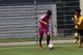Nom du fichier : IMG_2760.JPG
Poids du fichier : 227KB
Dimensions : 1024x683
Ajouté le : 13 Juin 2017 IMG_2760.JPG