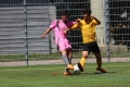 Nom du fichier : IMG_2763.JPG
Poids du fichier : 232KB
Dimensions : 1024x683
Ajouté le : 13 Juin 2017 IMG_2763.JPG