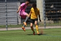 Nom du fichier : IMG_2765.JPG
Poids du fichier : 233KB
Dimensions : 1024x683
Ajouté le : 13 Juin 2017 IMG_2765.JPG