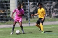 Nom du fichier : IMG_3231.JPG
Poids du fichier : 261KB
Dimensions : 1024x683
Ajouté le : 13 Juin 2017 IMG_3231.JPG