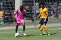 Nom du fichier : IMG_3232.JPG
Poids du fichier : 260KB
Dimensions : 1024x683
Ajouté le : 13 Juin 2017 IMG_3232.JPG