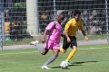Nom du fichier : IMG_3237.JPG
Poids du fichier : 265KB
Dimensions : 1024x683
Ajouté le : 13 Juin 2017 IMG_3237.JPG