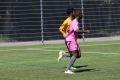 Nom du fichier : IMG_3241.JPG
Poids du fichier : 230KB
Dimensions : 1024x683
Ajouté le : 13 Juin 2017 IMG_3241.JPG