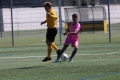 Nom du fichier : IMG_3256.JPG
Poids du fichier : 193KB
Dimensions : 1024x683
Ajouté le : 13 Juin 2017 IMG_3256.JPG
