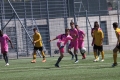 Filename=IMG_3529.JPG
Filesize=233KB
Dimensions=1024x683
Date added=Jun 13, 2017 IMG_3529.JPG