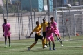 Filename=IMG_3539.JPG
Filesize=214KB
Dimensions=1024x683
Date added=Jun 13, 2017 IMG_3539.JPG