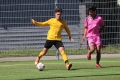Nom du fichier : IMG_4150.JPG
Poids du fichier : 233KB
Dimensions : 1024x683
Ajouté le : 13 Juin 2017 IMG_4150.JPG