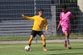 Nom du fichier : IMG_4151.JPG
Poids du fichier : 230KB
Dimensions : 1024x683
Ajouté le : 13 Juin 2017 IMG_4151.JPG