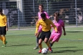 Nom du fichier : IMG_4622.JPG
Poids du fichier : 216KB
Dimensions : 1024x683
Ajouté le : 13 Juin 2017 IMG_4622.JPG