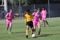 Nom du fichier : IMG_4630.JPG
Poids du fichier : 211KB
Dimensions : 1024x683
Ajouté le : 13 Juin 2017 IMG_4630.JPG