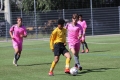 Nom du fichier : IMG_4631.JPG
Poids du fichier : 209KB
Dimensions : 1024x683
Ajouté le : 13 Juin 2017 IMG_4631.JPG