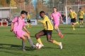 Nom du fichier : Jmg_0036.JPG
Poids du fichier : 204KB
Dimensions : 1024x683
Ajouté le : 02 Nov 2016 Jmg_0036.JPG
