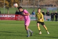 Nom du fichier : Jmg_0118.JPG
Poids du fichier : 176KB
Dimensions : 1024x683
Ajouté le : 02 Nov 2016 Jmg_0118.JPG