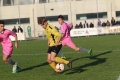 Nom du fichier : Jmg_0138.JPG
Poids du fichier : 166KB
Dimensions : 1024x683
Ajouté le : 02 Nov 2016 Jmg_0138.JPG