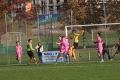 Nom du fichier : Jmg_0333.JPG
Poids du fichier : 238KB
Dimensions : 1024x683
Ajouté le : 02 Nov 2016 Jmg_0333.JPG