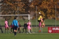 Nom du fichier : Jmg_0334.JPG
Poids du fichier : 274KB
Dimensions : 1024x683
Ajouté le : 02 Nov 2016 Jmg_0334.JPG