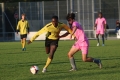 Nom du fichier : Jmg_0490.JPG
Poids du fichier : 175KB
Dimensions : 1024x683
Ajouté le : 02 Nov 2016 Jmg_0490.JPG