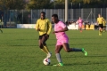Nom du fichier : Jmg_0520.JPG
Poids du fichier : 186KB
Dimensions : 1024x683
Ajouté le : 02 Nov 2016 Jmg_0520.JPG