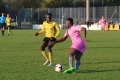 Nom du fichier : Jmg_0521.JPG
Poids du fichier : 193KB
Dimensions : 1024x683
Ajouté le : 02 Nov 2016 Jmg_0521.JPG