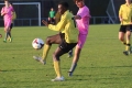 Nom du fichier : Jmg_0523.JPG
Poids du fichier : 180KB
Dimensions : 1024x683
Ajouté le : 02 Nov 2016 Jmg_0523.JPG