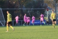 Nom du fichier : Jmg_0599.JPG
Poids du fichier : 206KB
Dimensions : 1024x683
Ajouté le : 02 Nov 2016 Jmg_0599.JPG