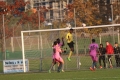 Nom du fichier : Jmg_0804.JPG
Poids du fichier : 224KB
Dimensions : 1024x683
Ajouté le : 02 Nov 2016 Jmg_0804.JPG