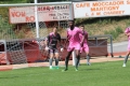 Nom du fichier : IMG_2194.JPG
Poids du fichier : 226KB
Dimensions : 1024x683
Ajouté le : 05 Juin 2017 IMG_2194.JPG