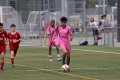 Filename=IMG_6856.JPG
Filesize=173KB
Dimensions=1024x683
Date added=Apr 30, 2017 IMG_6856.JPG