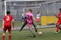 Filename=IMG_8746.JPG
Filesize=213KB
Dimensions=1024x683
Date added=Apr 30, 2017 IMG_8746.JPG