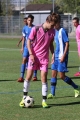 Nom du fichier : IMG_0156.JPG
Poids du fichier : 217KB
Dimensions : 683x1024
Ajouté le : 17 Oct 2016 IMG_0156.JPG