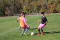 Filename=JMG_1790.JPG
Filesize=269KB
Dimensions=1024x683
Date added=Oct 24, 2016 JMG_1790.JPG
