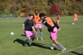 Filename=JMG_1806.JPG
Filesize=235KB
Dimensions=1024x683
Date added=Oct 24, 2016 JMG_1806.JPG