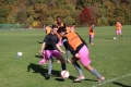 Filename=JMG_1807.JPG
Filesize=233KB
Dimensions=1024x683
Date added=Oct 24, 2016 JMG_1807.JPG