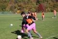 Filename=JMG_1808.JPG
Filesize=216KB
Dimensions=1024x683
Date added=Oct 24, 2016 JMG_1808.JPG