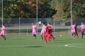 Filename=JMG_1920.JPG
Filesize=253KB
Dimensions=1024x683
Date added=Oct 24, 2016 JMG_1920.JPG