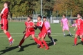 Nom du fichier : JMG_2102.JPG
Poids du fichier : 230KB
Dimensions : 1024x683
Ajouté le : 24 Oct 2016 JMG_2102.JPG