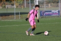 Nom du fichier : JMG_2140.JPG
Poids du fichier : 186KB
Dimensions : 1024x683
Ajouté le : 24 Oct 2016 JMG_2140.JPG
