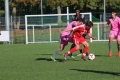 Nom du fichier : JMG_2150.JPG
Poids du fichier : 208KB
Dimensions : 1024x683
Ajouté le : 24 Oct 2016 JMG_2150.JPG