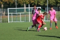 Nom du fichier : JMG_2151.JPG
Poids du fichier : 212KB
Dimensions : 1024x683
Ajouté le : 24 Oct 2016 JMG_2151.JPG