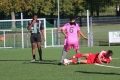Nom du fichier : JMG_2153.JPG
Poids du fichier : 210KB
Dimensions : 1024x683
Ajouté le : 24 Oct 2016 JMG_2153.JPG
