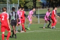 Nom du fichier : JMG_2154.JPG
Poids du fichier : 203KB
Dimensions : 1024x683
Ajouté le : 24 Oct 2016 JMG_2154.JPG