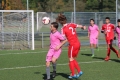 Nom du fichier : JMG_2157.JPG
Poids du fichier : 192KB
Dimensions : 1024x683
Ajouté le : 24 Oct 2016 JMG_2157.JPG