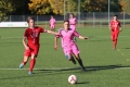 Nom du fichier : JMG_2240.JPG
Poids du fichier : 211KB
Dimensions : 1024x683
Ajouté le : 24 Oct 2016 JMG_2240.JPG