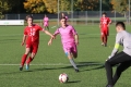 Nom du fichier : JMG_2241.JPG
Poids du fichier : 218KB
Dimensions : 1024x683
Ajouté le : 24 Oct 2016 JMG_2241.JPG