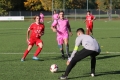 Nom du fichier : JMG_2242.JPG
Poids du fichier : 222KB
Dimensions : 1024x683
Ajouté le : 24 Oct 2016 JMG_2242.JPG